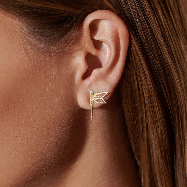 Coucles d'oreilles Animal Kingdom Dragonfly